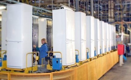 Krasnoyarsk factory Biryusa
