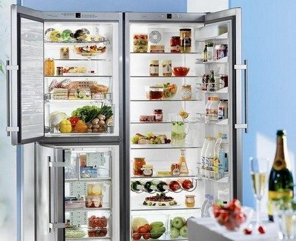 Fridge with two doors