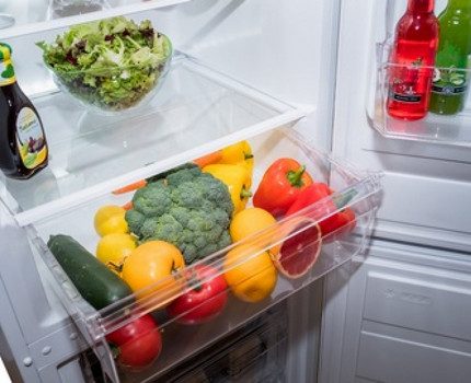 Products in the refrigerator Nord