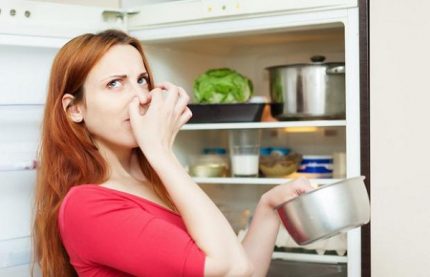 Bad smell in the fridge
