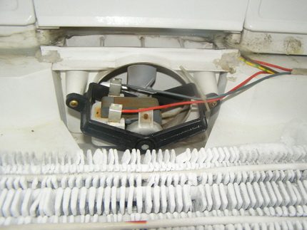 Fridge fan