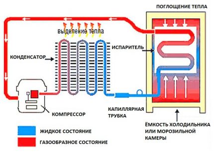 Het schema van de compressorkoelkast