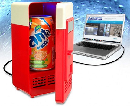 Mini fridge 1