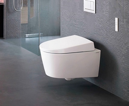 Wall hung toilet