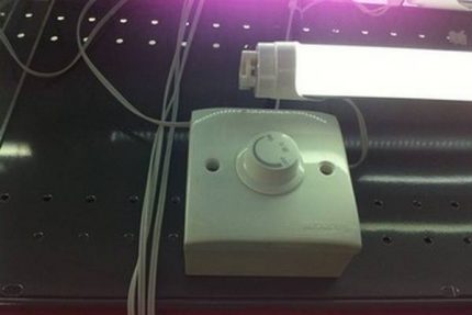Spaarlamp