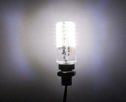 Gloeilamp