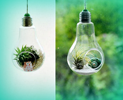 Nhà kính mini từ LN
