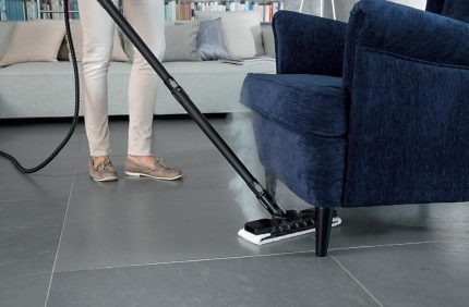 Ang vacuum cleaner na may singaw