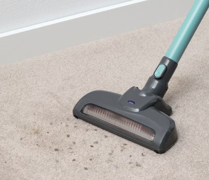 Mga tampok ng Boch vacuum cleaner