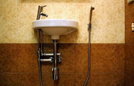 Wall-mount hygiene shower