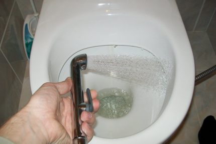 Paggamit ng isang hygienic shower