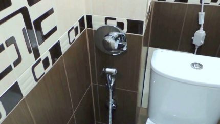 Panel para sa built-in na hygienic shower