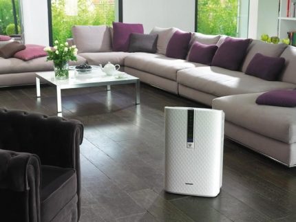 Large room ionizer