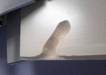 Muizen knagen door EPS