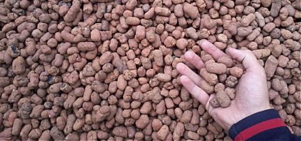 Bulk insulation expanded clay