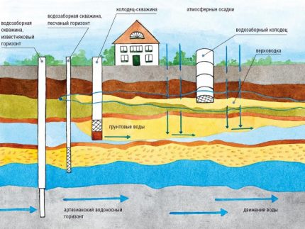 Mga pagpipilian sa lokasyon ng Aquifer at mahusay na mga varieties