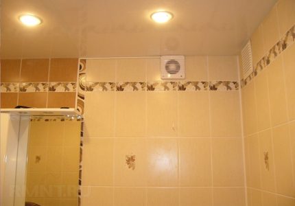Tagahanga ng banyo
