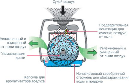 Humidifier ionization