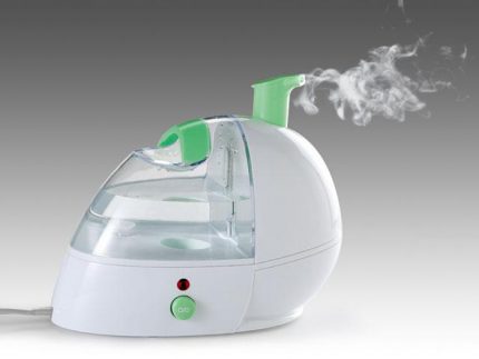 Steam humidifier
