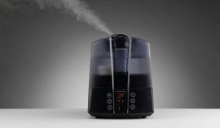 Steam humidifier
