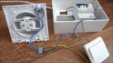 Connect the fan to electricity