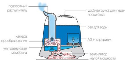 Ultrasonic humidifier