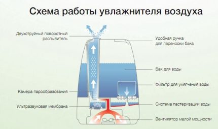 Nguyên lý hoạt động của máy tạo độ ẩm siêu âm