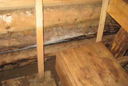 The consequences of waterlogging in the steam room