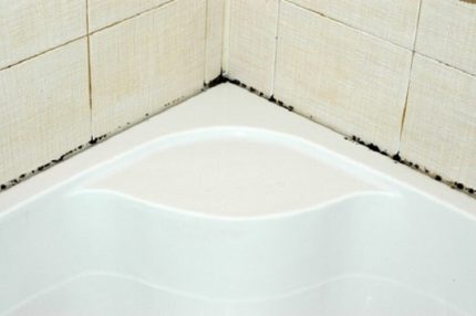 Schimmel in de badkamer