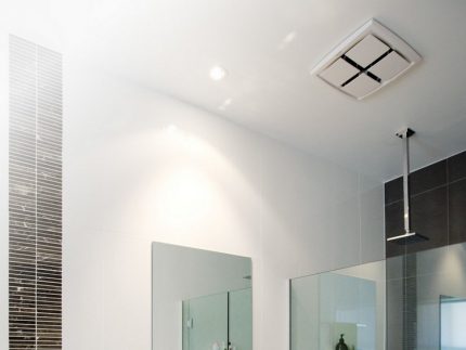 Beautiful ceiling fan