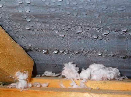 Pagkahulog sa loob ng bubong