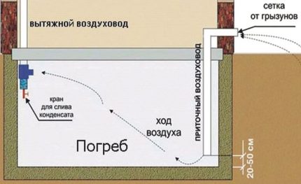 Ang scheme ng bentilasyon sa basement