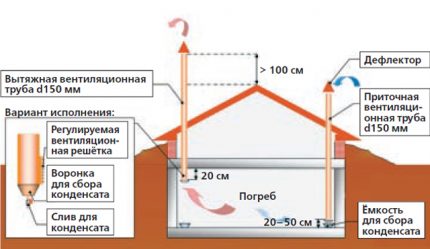 Vegetable storage ventilation system