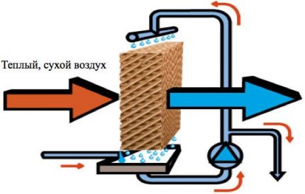 The principle of operation of the evaporator based on cell cartridges