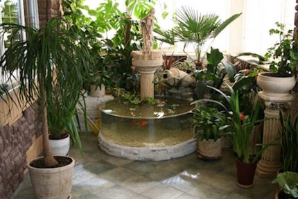 Đài phun nước trong nhà và thực vật
